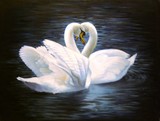by Janna Ali