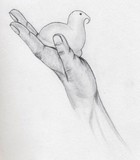 by Katy Meaders