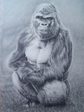 by Joanne Woolley