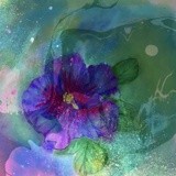 by Ingrid Kolster