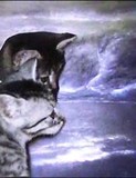 by Brenda Garacci