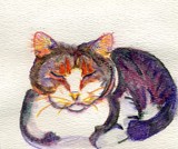by Candy Kelly