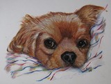 by Robin Gorton