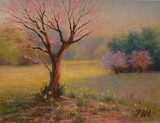 by Julia Herrero-Utiasheva