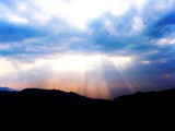 by Pavitra Chaturvedi