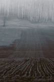 by Nikolay Semyonov