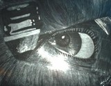 by Brittany Markham