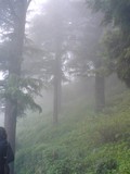 by Dhruv Sharma