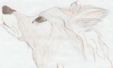by Hitohana Jinkorin