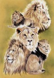 by Barbara Keith