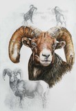by Barbara Keith