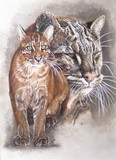 by Barbara Keith
