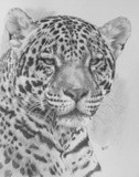 by Barbara Keith