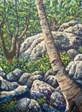 by Scott Niemi