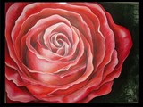 by Paola N. Dawson