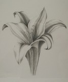 by Kathryn Huhn