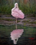 by Sue Johnson