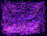 by Shahram  S. Nahavandi