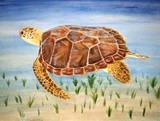 by Kelly Allen