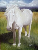 by julia kapp