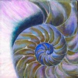 by jennifer  belote
