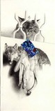 by Gallus Balogh