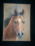 by Juliet Maloney