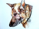 by Charlotte Ive
