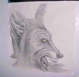 by Jenn Shumaker