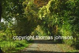 by Thomas Johnson