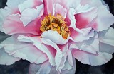 by Marilyn Fuerstenberg