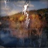 by Florence Iff