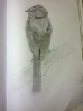 by sirisha mullamuri