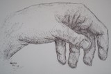 by Ida Foss
