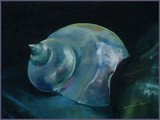 by Maria Koranyi