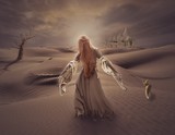 by Shawn Rodgers