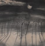 by Justin Marshall