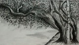 by Padmavathy Ragavendran
