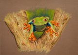 by Amanda Martin