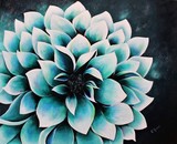 by Edie Reed