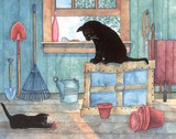 by Allison Kuehn
