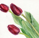 by Laurie Rohner