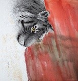 by Mita Vora