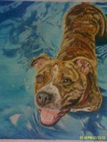 by Jennifer Herlihy