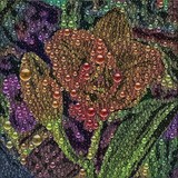 by Lyle  Kroll