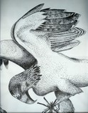 by megan horachek