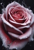 by Mihaela B