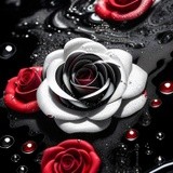 by Mihaela B