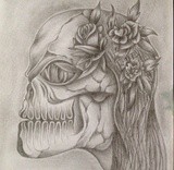 by STEVE RAINES