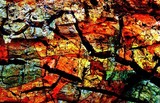 by Emilio B. Campo-Diaz